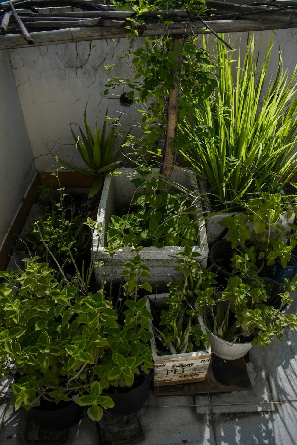 Rooftop Space