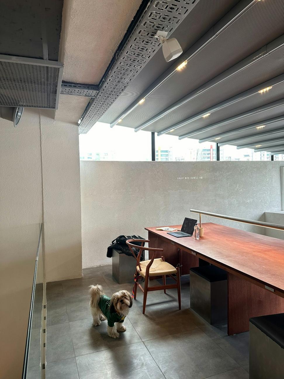 Lead Architect