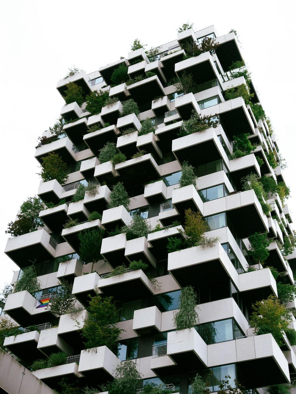 Sustainability Lead