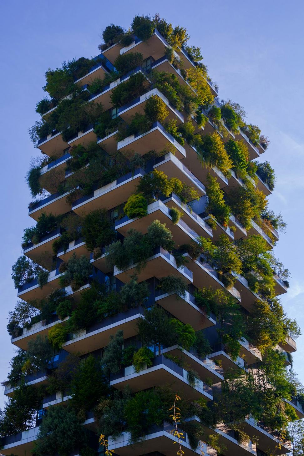 Net-zero carbon